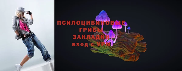ешки Алзамай